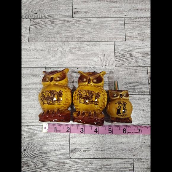 Vintage Owl Salt & Pepper Shakers, Toothpicks Horse Carriage, Googly Eyes, Amish - Picture 10 of 10